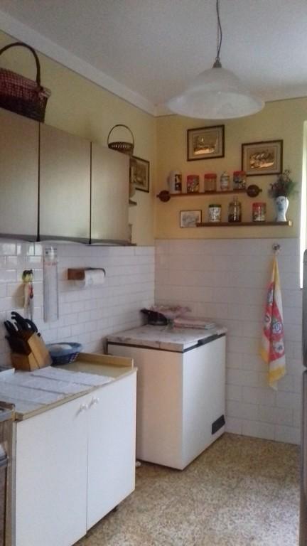 Villa Unifamiliare - Indipendente NAVE vendita    iBS CASA di Lumini Isacco