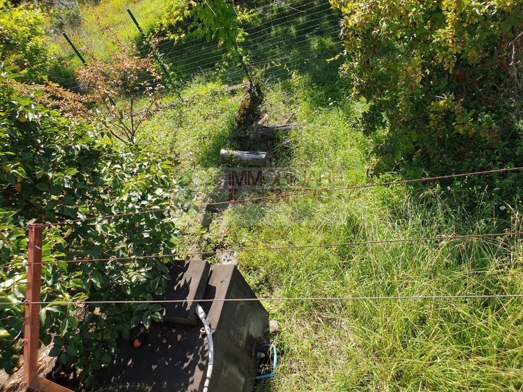 Villa Unifamiliare - Indipendente CASTELNUOVO MAGRA vendita    IL CENTRO IMMOBILIARE snc di Stefano Santi