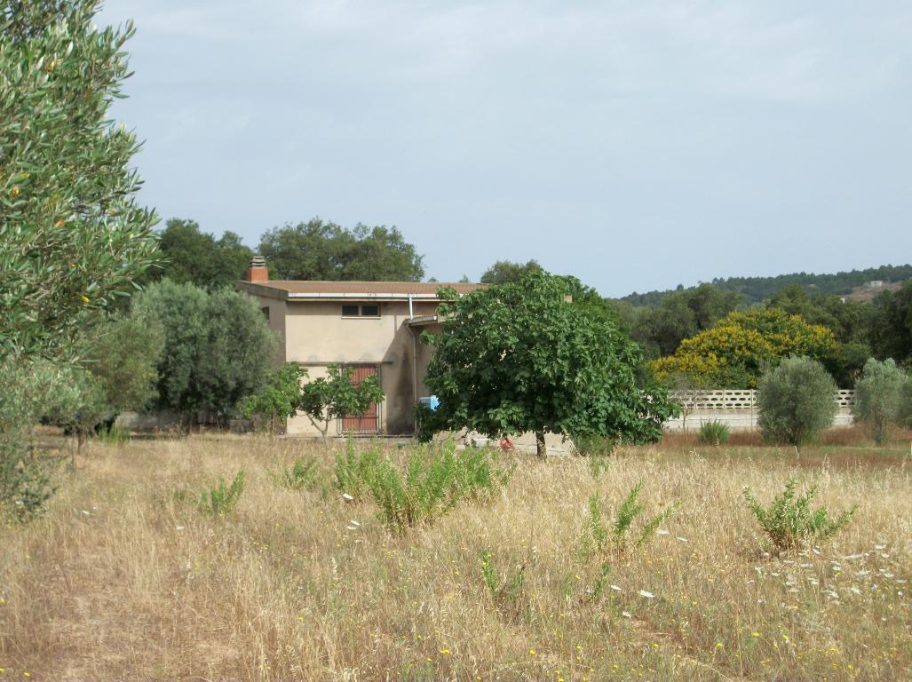 Terreno Agricolo a Carbonia (Carbonia-Iglesias) in Vendita