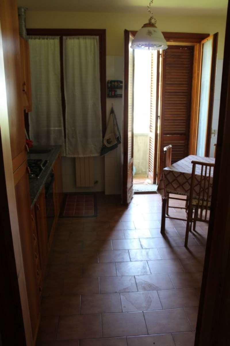Villa Unifamiliare - Indipendente AUDITORE vendita    Agenzia Montecchio Casa