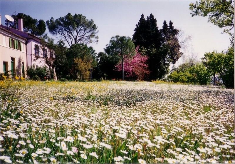 Casale in vendita a Corridonia