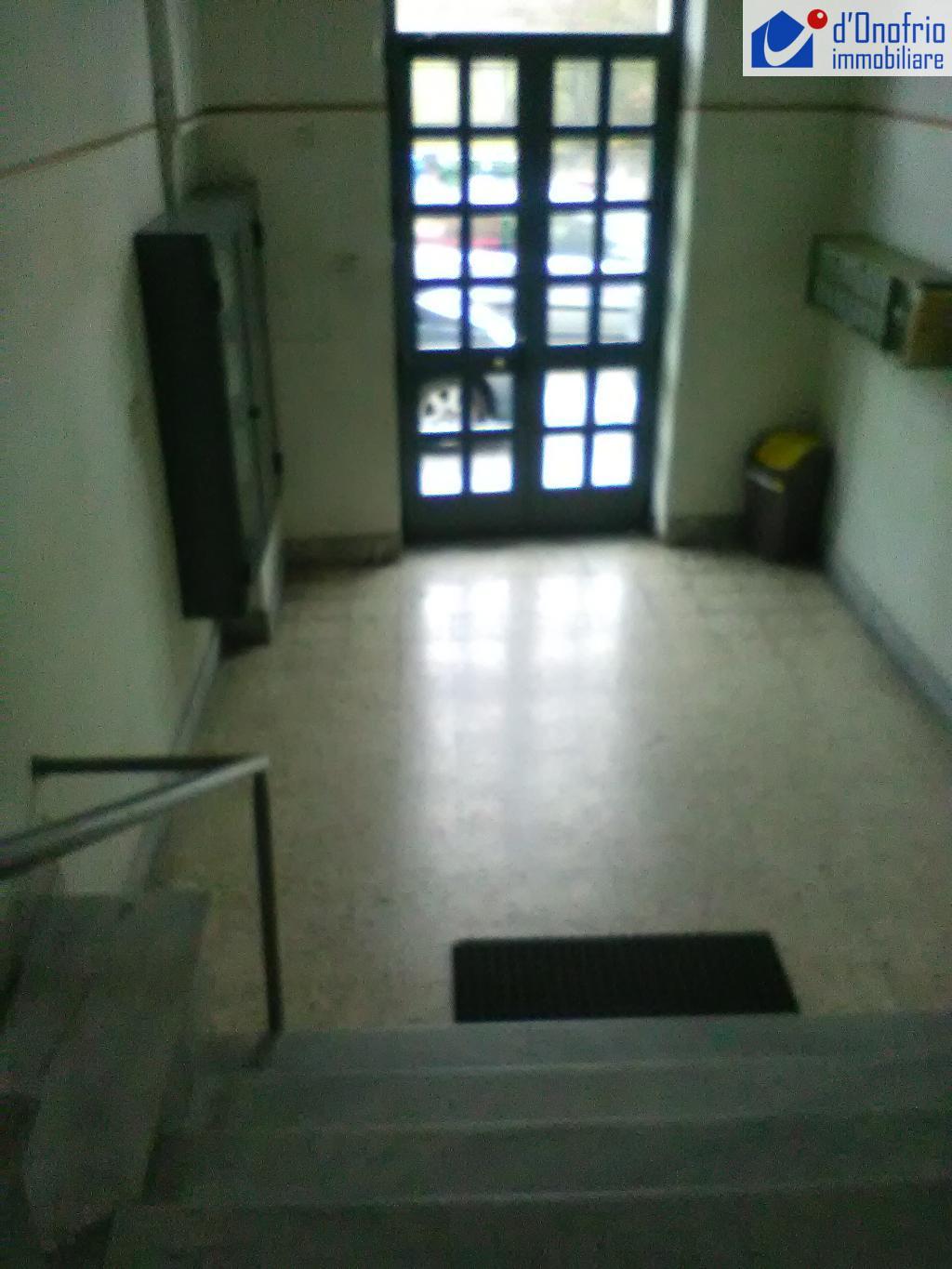 Appartamento CAMPOBASSO vendita   VIA G.BATTISTA VICO STUDIO IMMOBILIARE  d