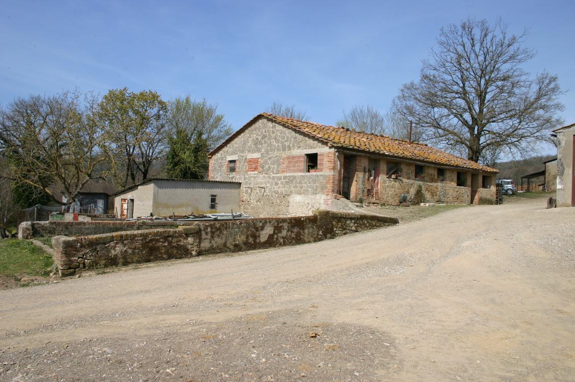 Rustico - Cascina CHIUSDINO vendita    AGENZIA SIENA IMMOBILIARE DI MOSCADELLI LUCIA