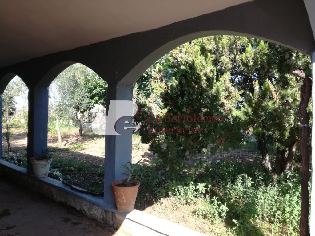 Villa Unifamiliare - Indipendente SANNICANDRO DI BARI vendita   CONTRADA NOVIELLO DE BARTOLOMEO ENTERPRISE