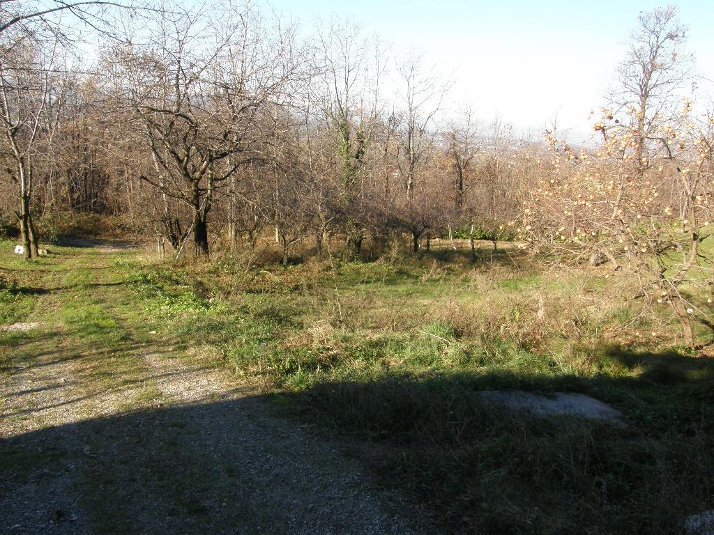 Villa Semi Indipendente MONASTERO DI VASCO vendita    Emmepi Case