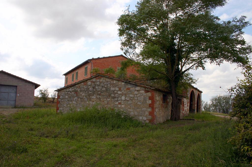 Rustico - Cascina ASCIANO vendita    AGENZIA SIENA IMMOBILIARE DI MOSCADELLI LUCIA