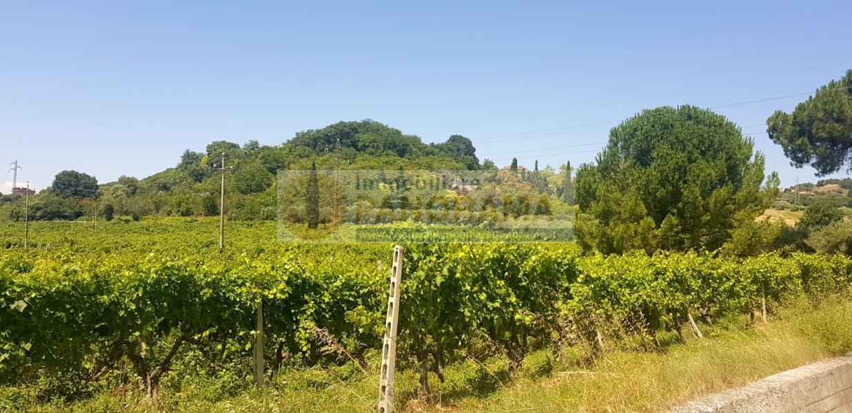  monteprandone vendita quart:  agenzia immobiliare panorama