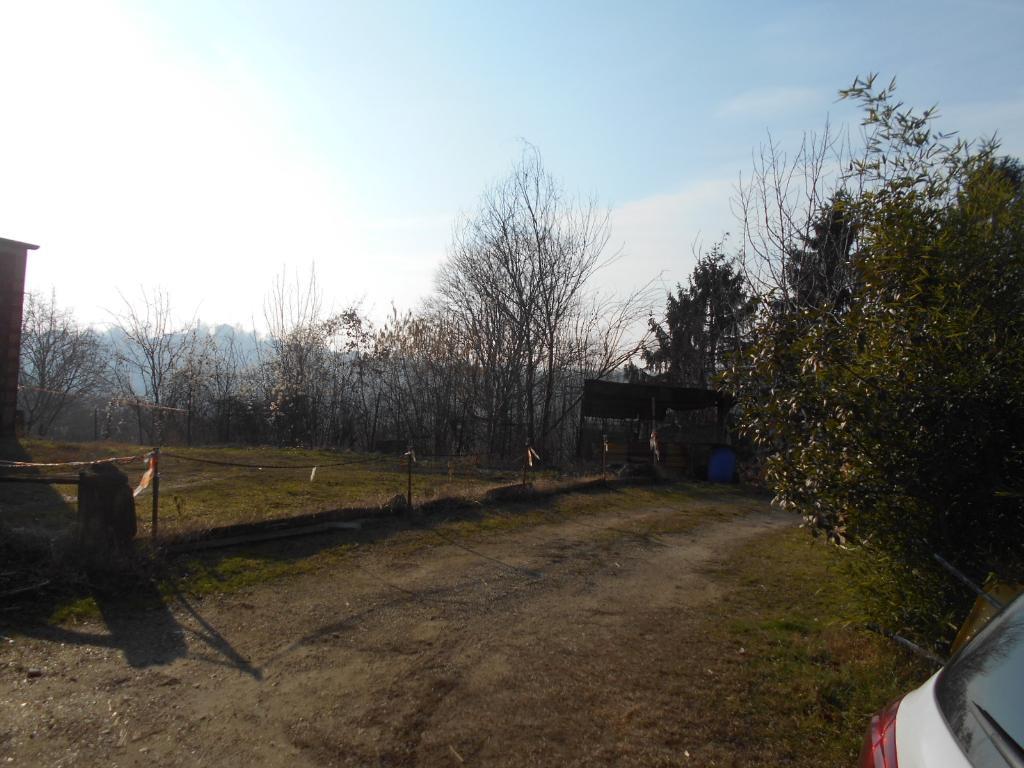 Villa Semi Indipendente CORTAZZONE vendita   VIA BRICCARELLO BIMAR SAS DI ROSSI IVANO & C.
