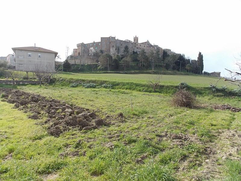 Casa indipendente in affitto a Cossignano con terreno