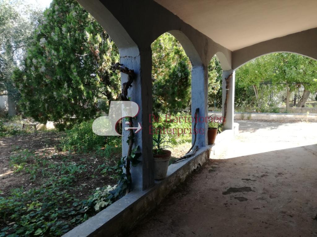 Villa Unifamiliare - Indipendente SANNICANDRO DI BARI vendita   CONTRADA NOVIELLO DE BARTOLOMEO ENTERPRISE