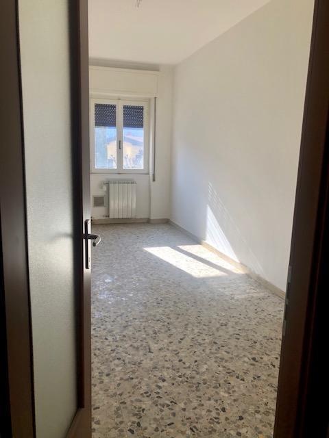 Appartamento MANDELLO DEL LARIO affitto    Lisolago Servizi Immobiliari