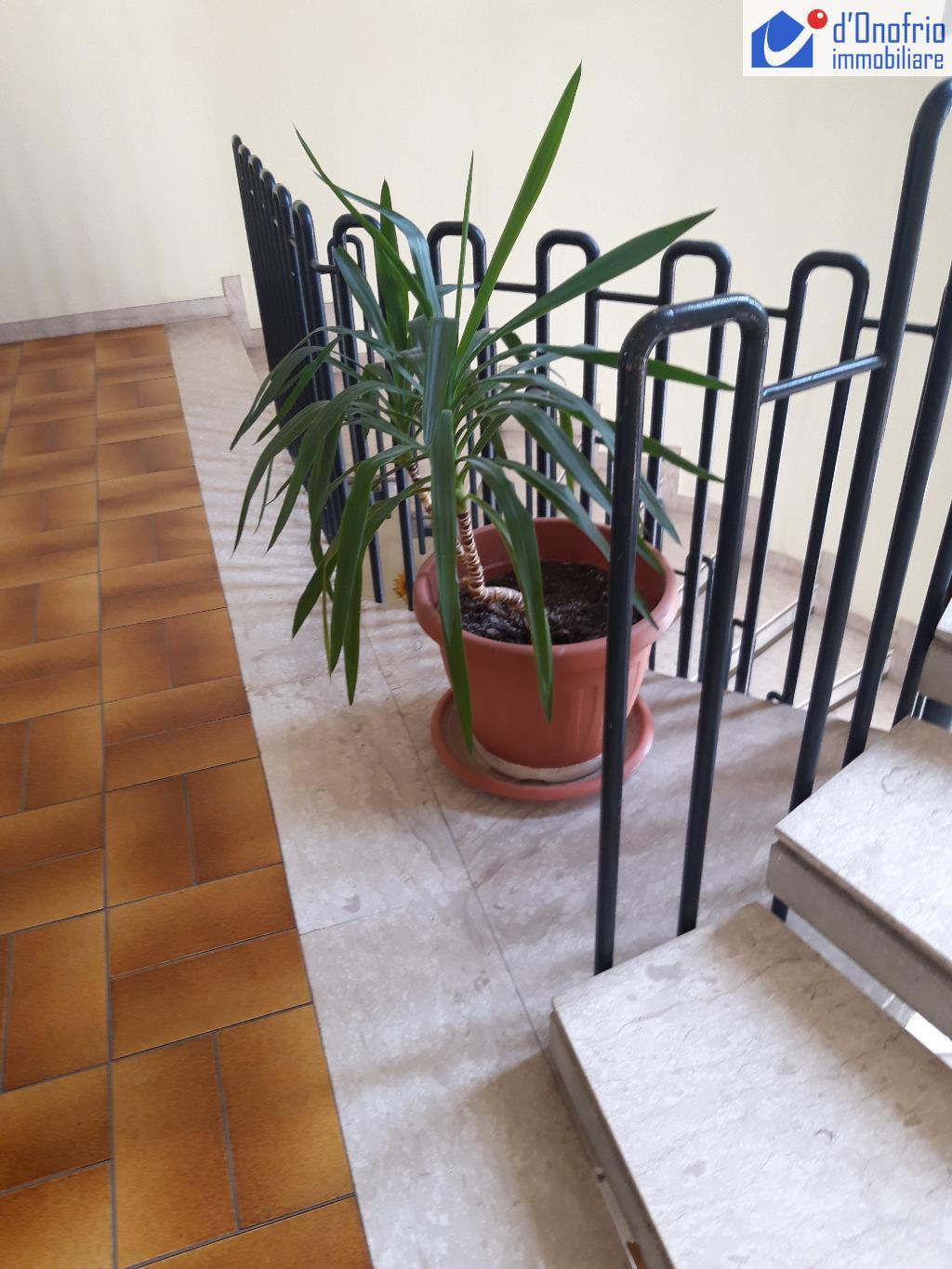 Appartamento CAMPOBASSO vendita   VIA PISA STUDIO IMMOBILIARE  d