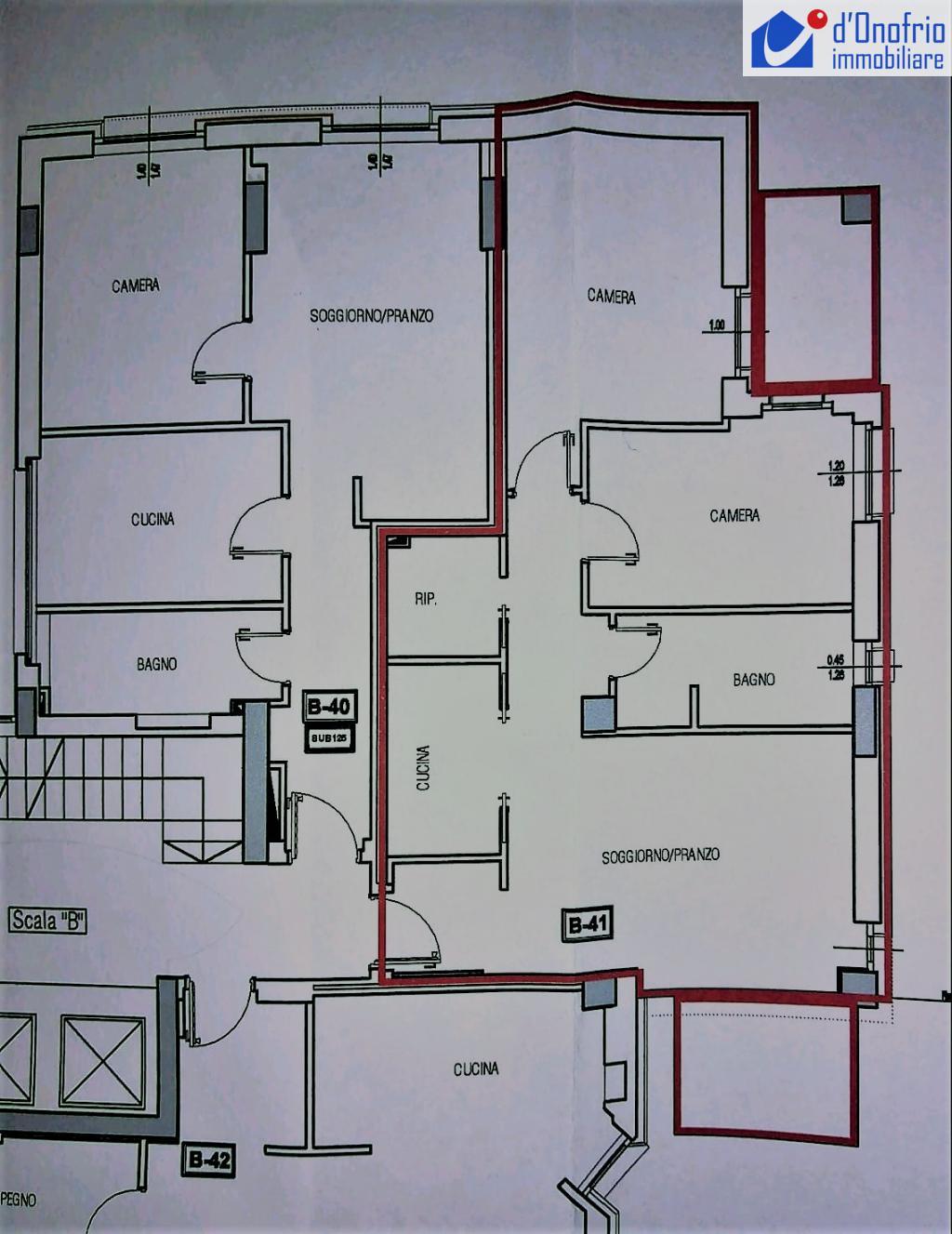 Appartamento CAMPOBASSO vendita    STUDIO IMMOBILIARE  d