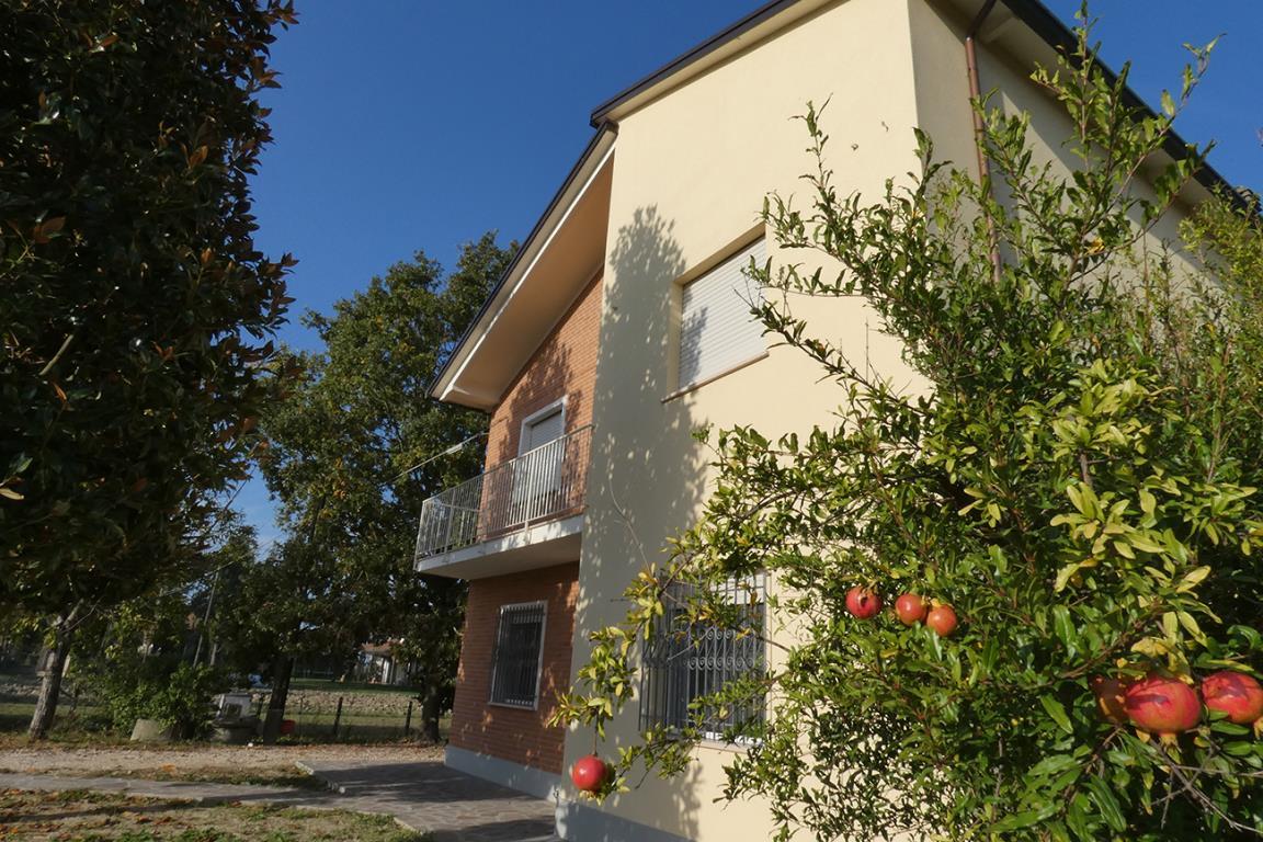 Villa Unifamiliare - Indipendente ALFONSINE vendita    AGENZIA CONTARINI