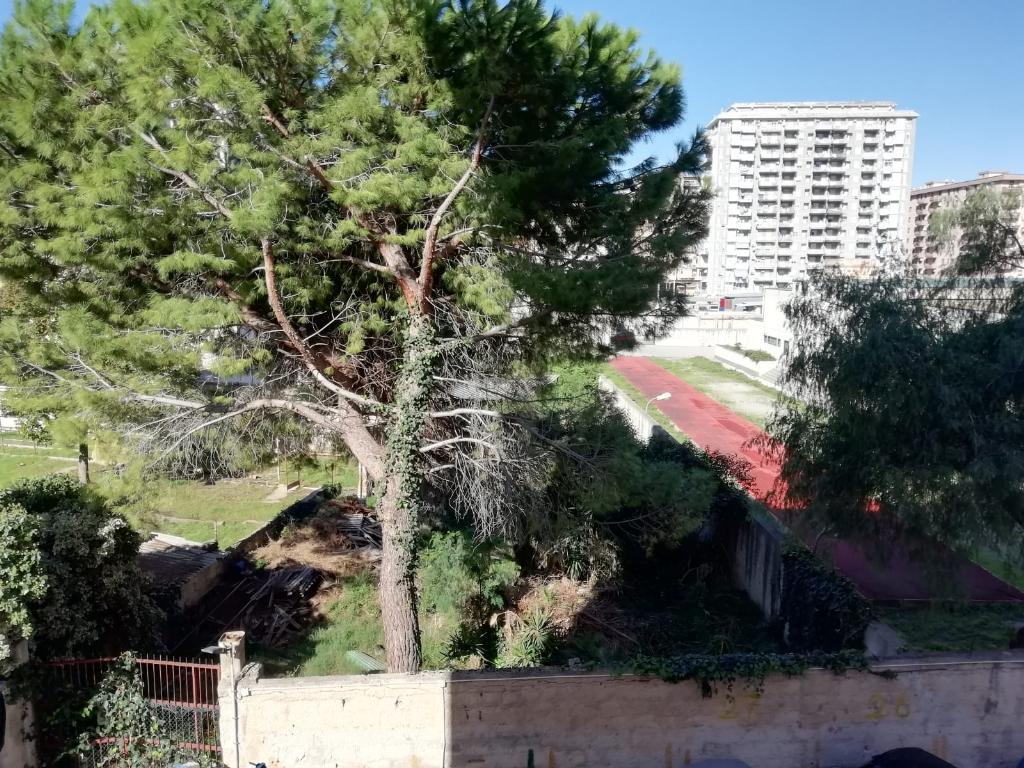  palermo vendita quart: brancaccio punto casa di claudio costantino