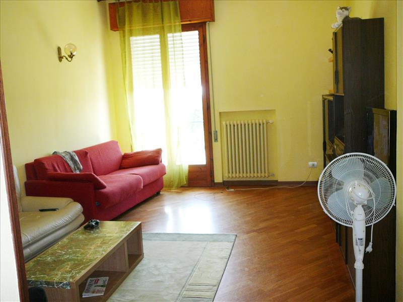  alfonsine vendita quart:  studio effe di fabbri pierluigi e c. s.a.s.
