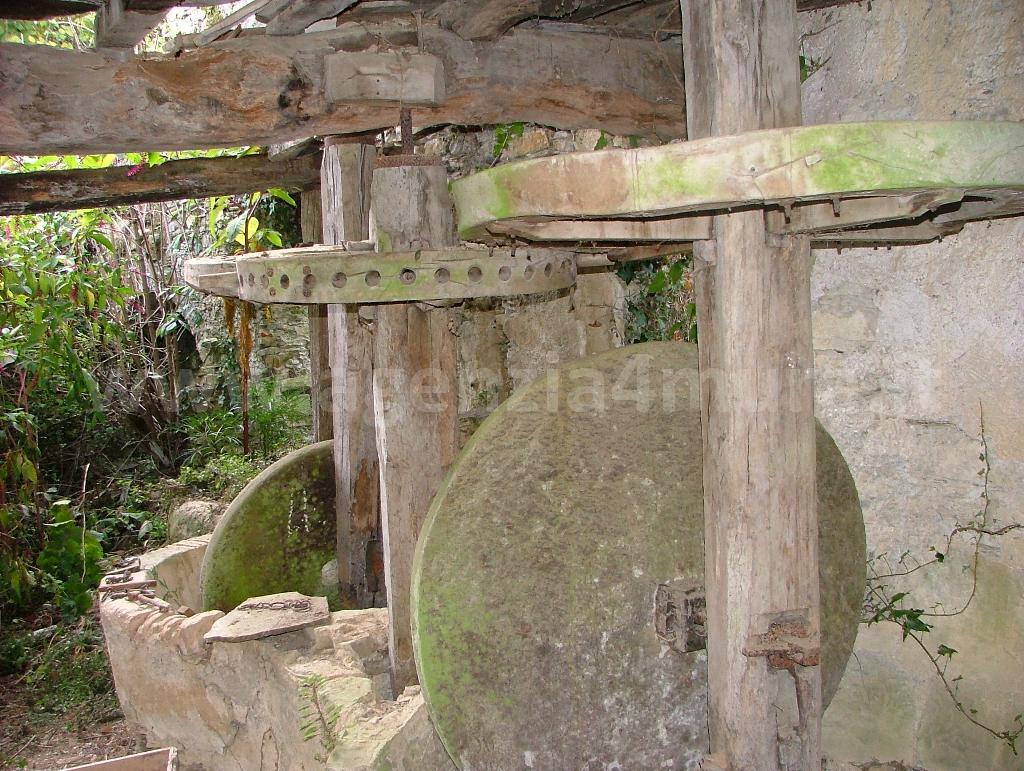 Rustico - Cascina STELLANELLO vendita   Via Provinciale Agenzia 4 Mura