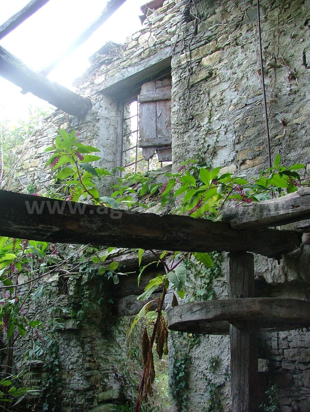 Rustico - Cascina STELLANELLO vendita   Via Provinciale Agenzia 4 Mura