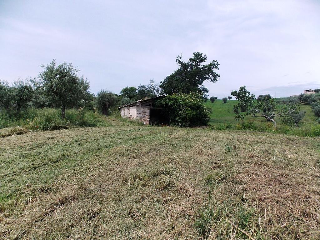 Vendesi casale a San Severino Marche (MC)