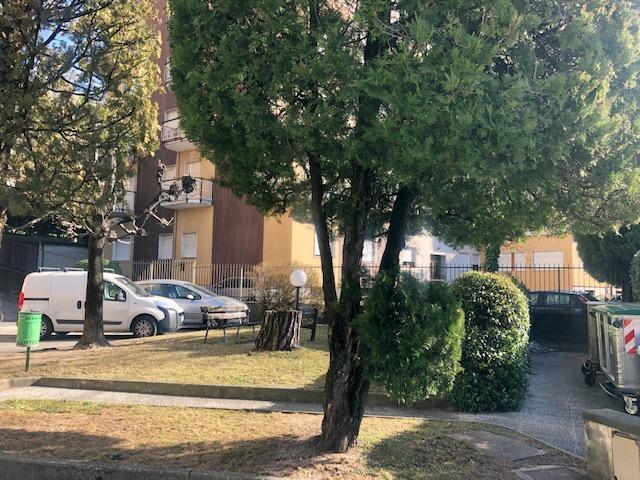 Appartamento MANDELLO DEL LARIO affitto    Lisolago Servizi Immobiliari
