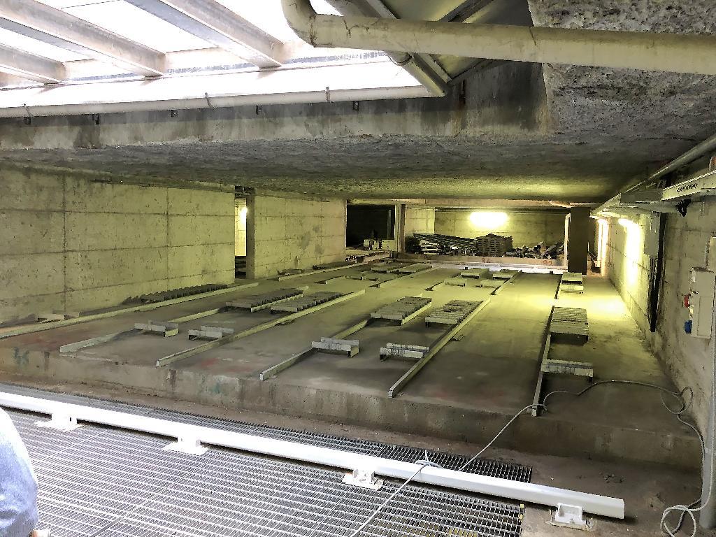 Appartamento MILANO affitto  LORETO via padova Bassi Immobiliare