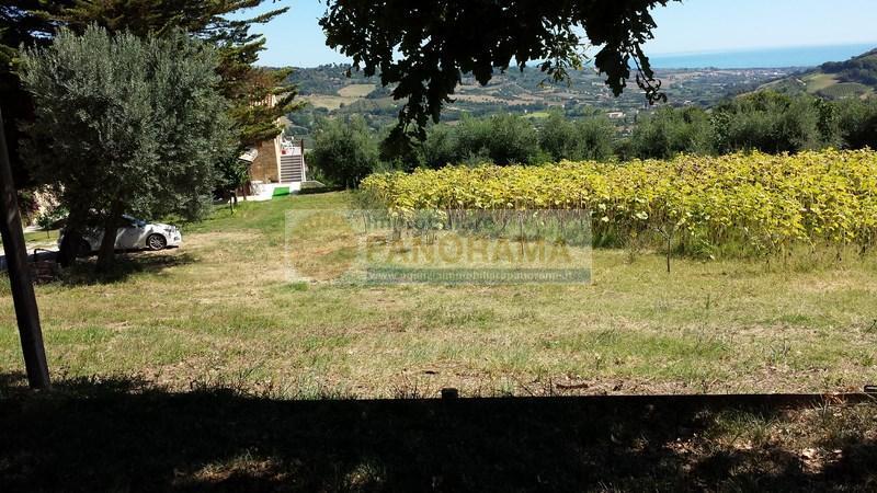 Villa RIPATRANSONE vendita   Contrada San Michele Agenzia Immobiliare Panorama