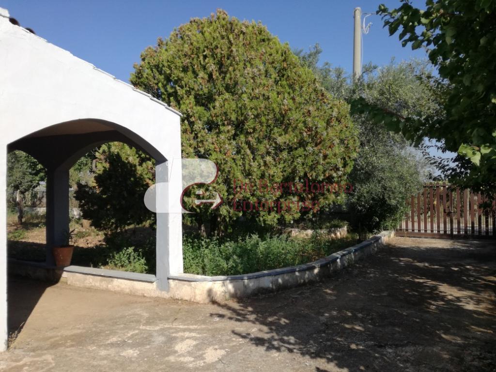 Villa Unifamiliare - Indipendente SANNICANDRO DI BARI vendita   CONTRADA NOVIELLO DE BARTOLOMEO ENTERPRISE