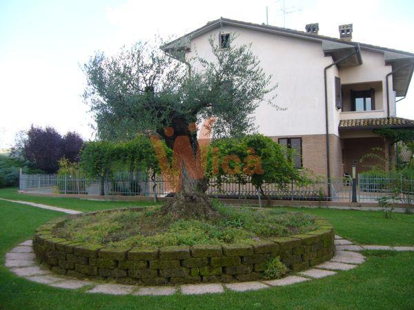 Villa Unifamiliare - Indipendente CESENA vendita    Giampaolo Magnani srl