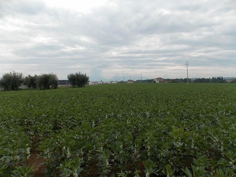 Vendesi terreno edificabile a Corropoli (TE)