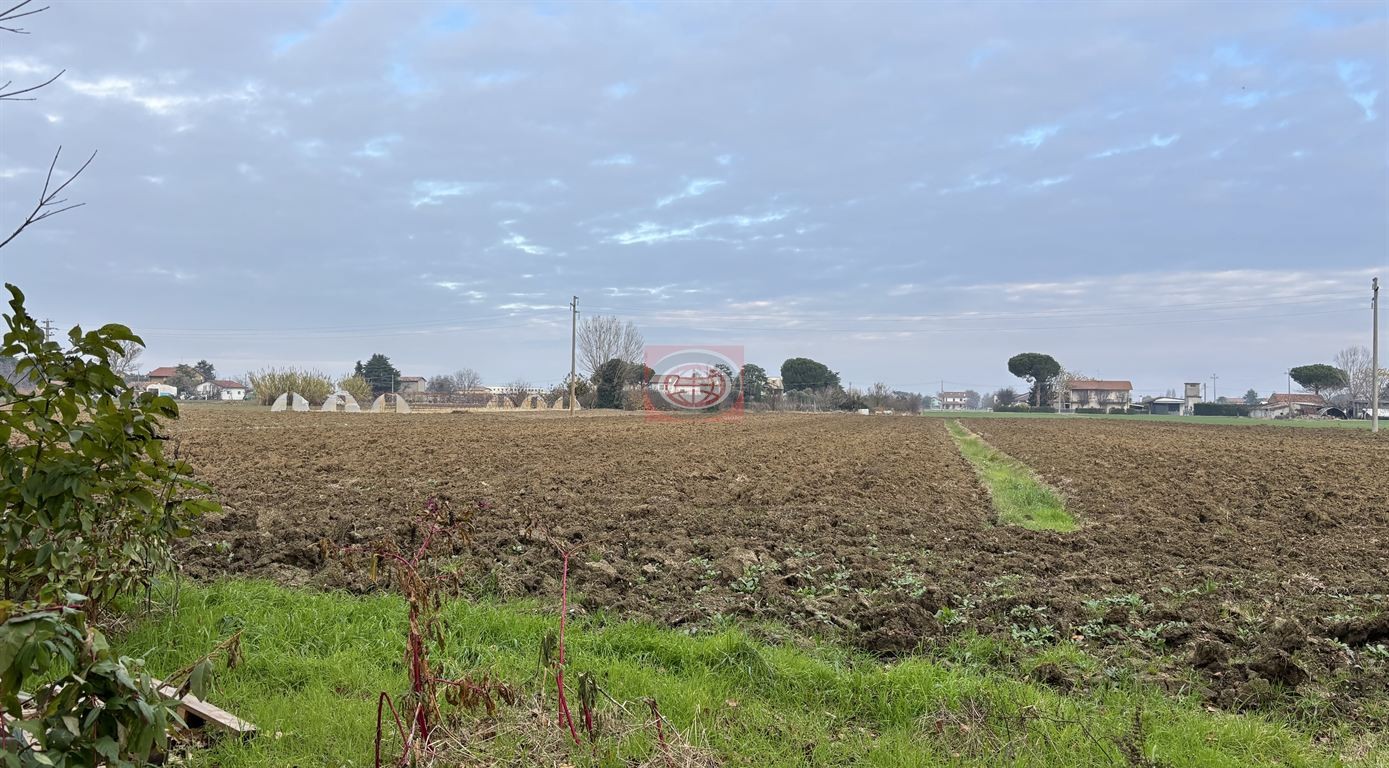 Terreno in Vendita