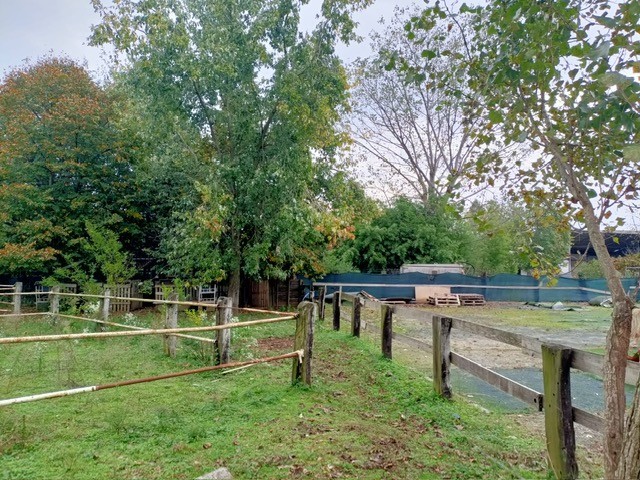 Vendita Stabile, Inzago