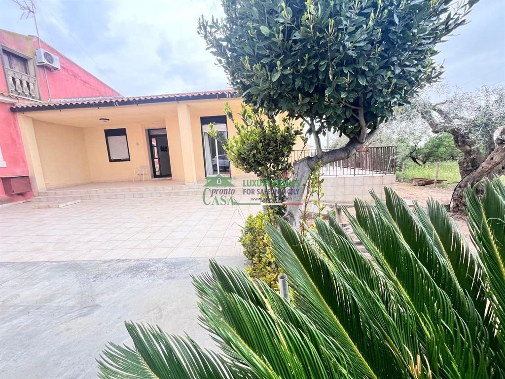 Villa in Affitto