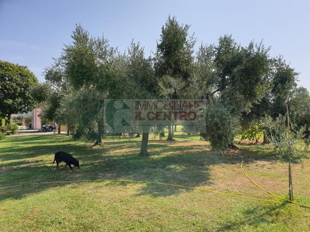 Villa Unifamiliare - Indipendente CASTELNUOVO MAGRA vendita    IL CENTRO IMMOBILIARE snc di Stefano Santi