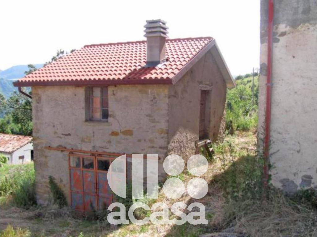Foto - Azienda Agricola In Vendita Verghereto (fc)