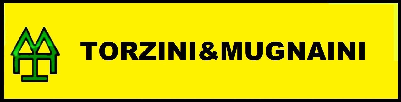 Negozio - Loc.Com. AREZZO affitto    Torzini & Mugnaini SRL