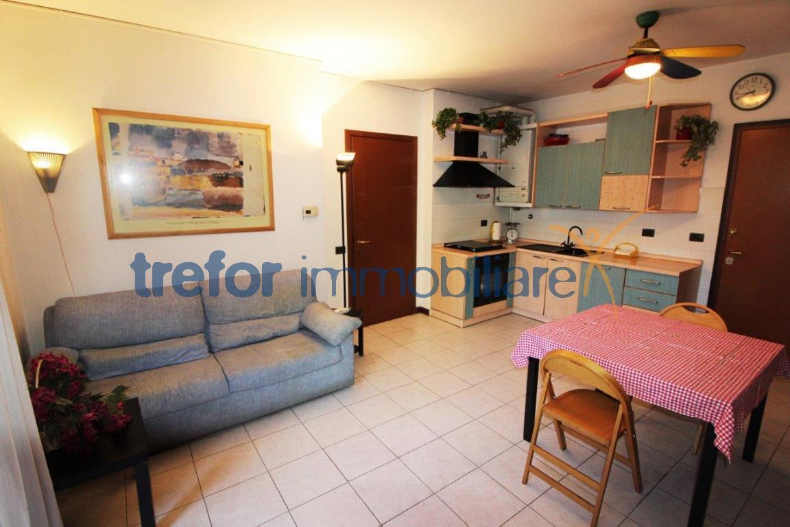 Appartamento SAN DONATO MILANESE vendita   Via Dossetti TREFOR IMMOBILIARE S.R.L.
