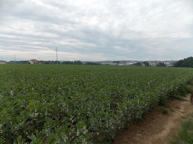 Vendesi terreno edificabile a Corropoli (TE)