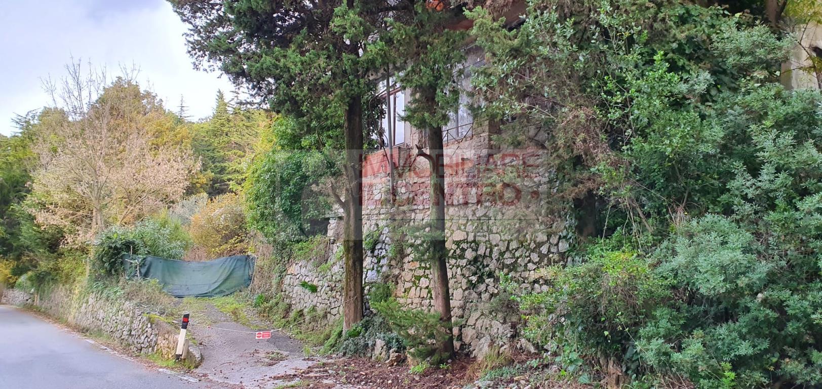 Stabile intero - Palazzo AMEGLIA vendita    IL CENTRO IMMOBILIARE snc di Stefano Santi