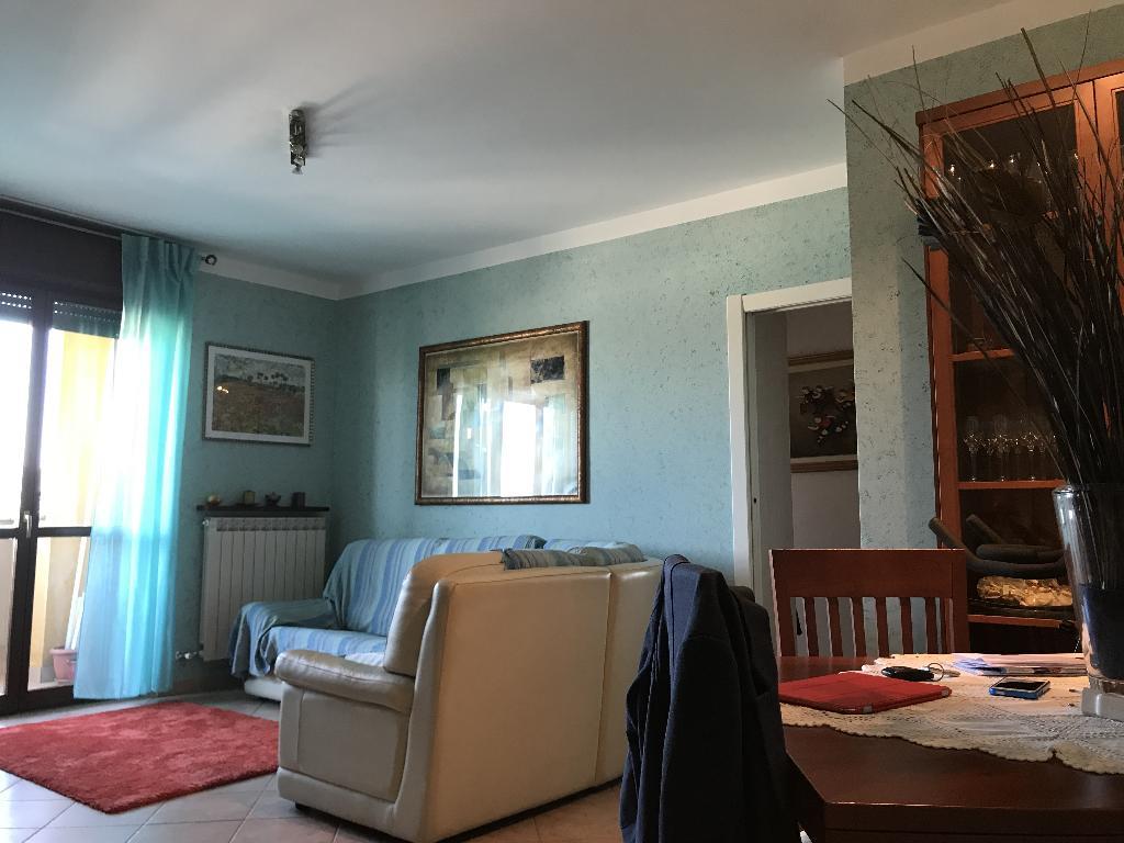 Appartamento VITTUONE vendita    Immobilcasa