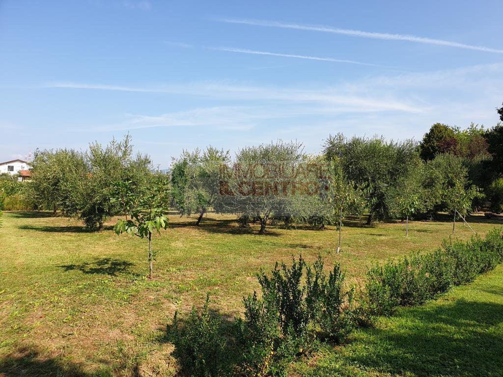 Villa Unifamiliare - Indipendente CASTELNUOVO MAGRA vendita    IL CENTRO IMMOBILIARE snc di Stefano Santi