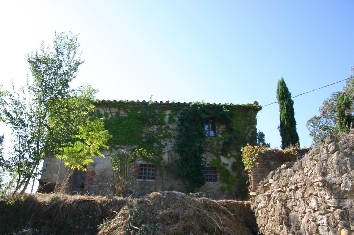 Rustico - Cascina ASCIANO vendita    AGENZIA SIENA IMMOBILIARE DI MOSCADELLI LUCIA