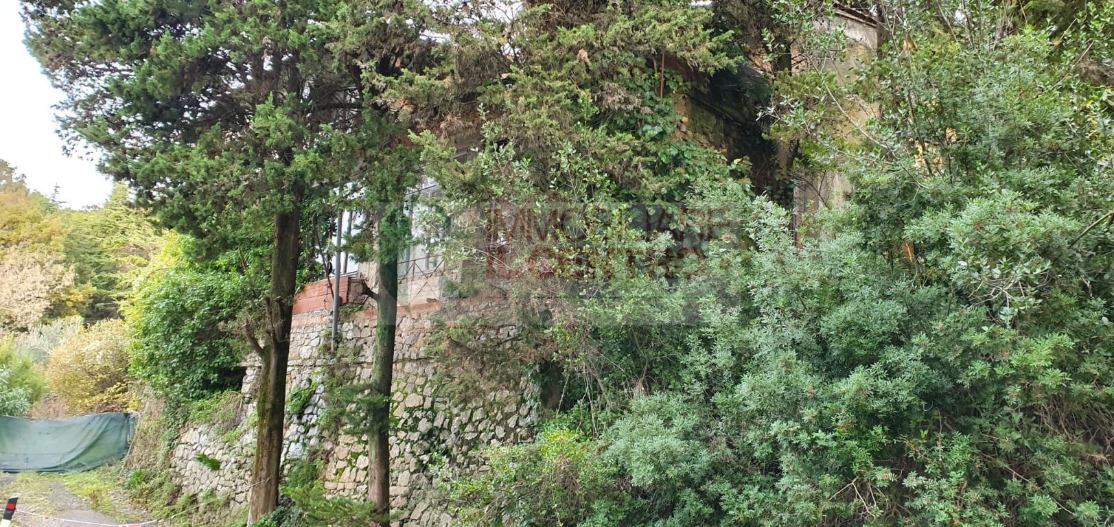 Stabile intero - Palazzo AMEGLIA vendita    IL CENTRO IMMOBILIARE snc di Stefano Santi