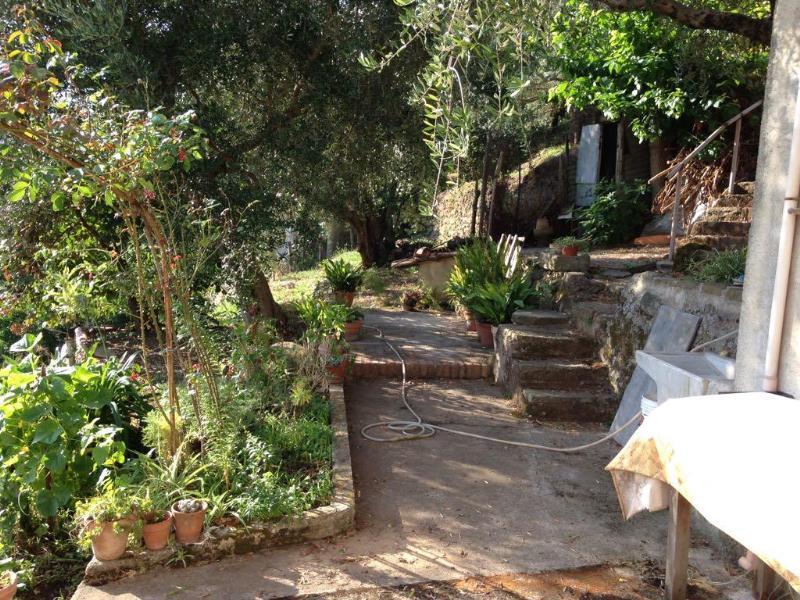 Villa Unifamiliare - Indipendente SAN SALVATORE DI FITALIA vendita    Immobilfin s.a.s.