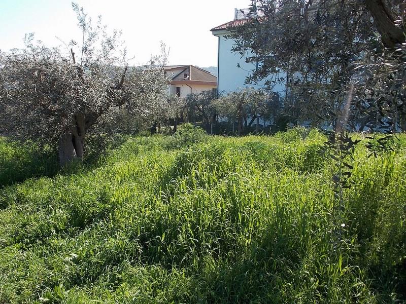 Terreno in vendita a Grottammare per commerciale
