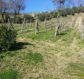 Vendesi palazzo in costruzione a Ponzano di Fermo (FM)