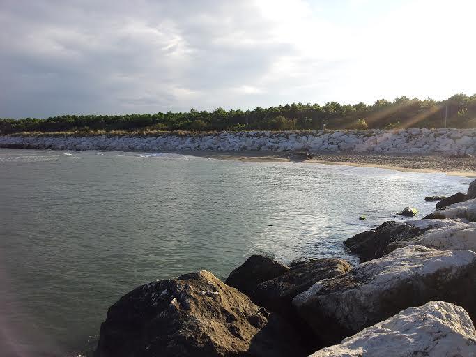 Appartamento ITALIA vendita   Via Del Gavitello S.CO.R. RAVENNA SRL