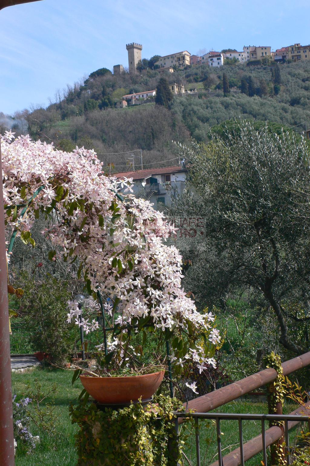 Villa Unifamiliare - Indipendente CASTELNUOVO MAGRA vendita    IL CENTRO IMMOBILIARE snc di Stefano Santi