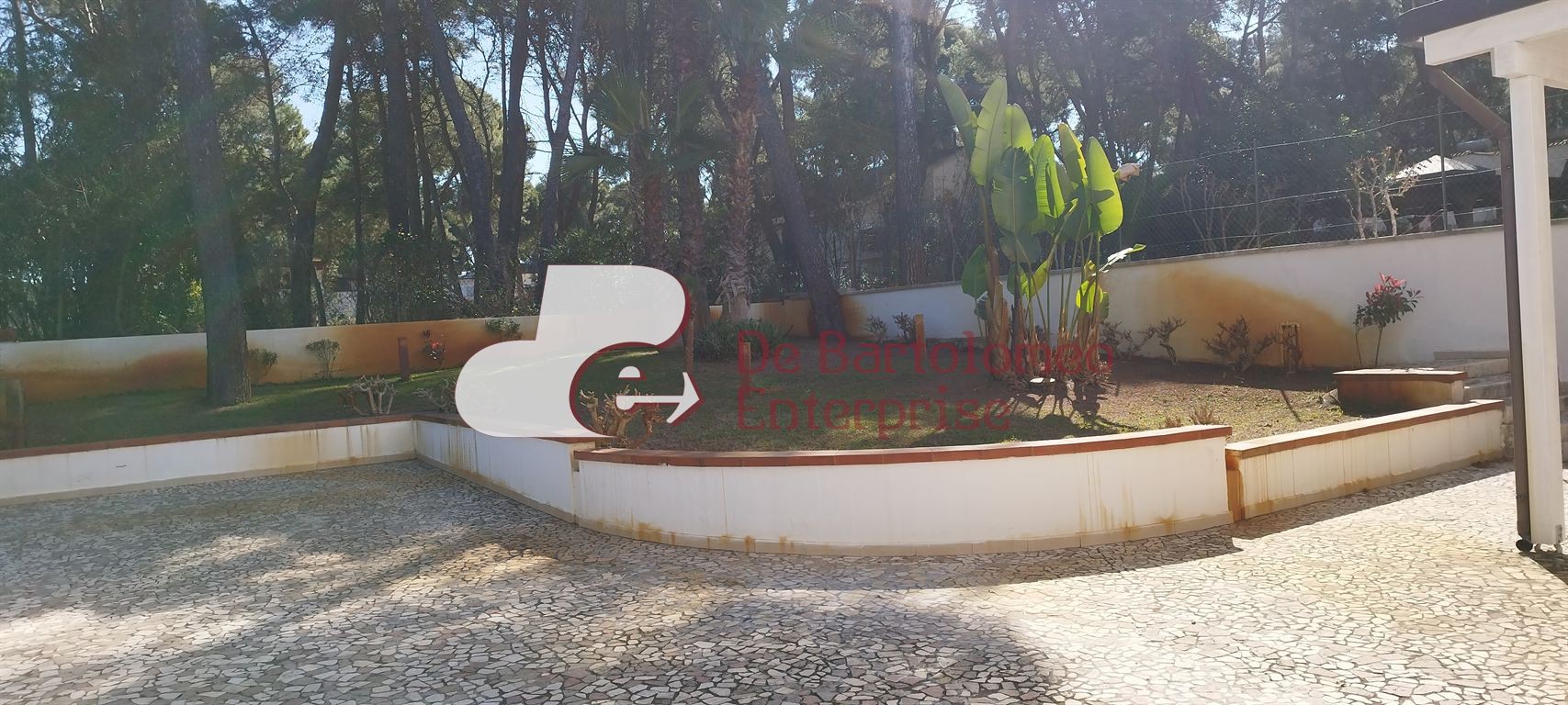 Foto annuncio