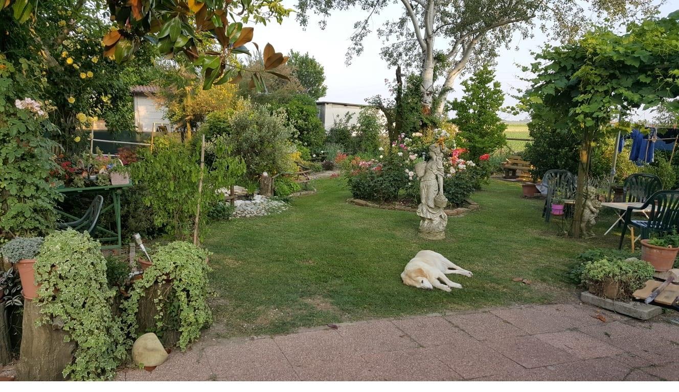 Villa Unifamiliare - Indipendente ALFONSINE vendita    AGENZIA CONTARINI