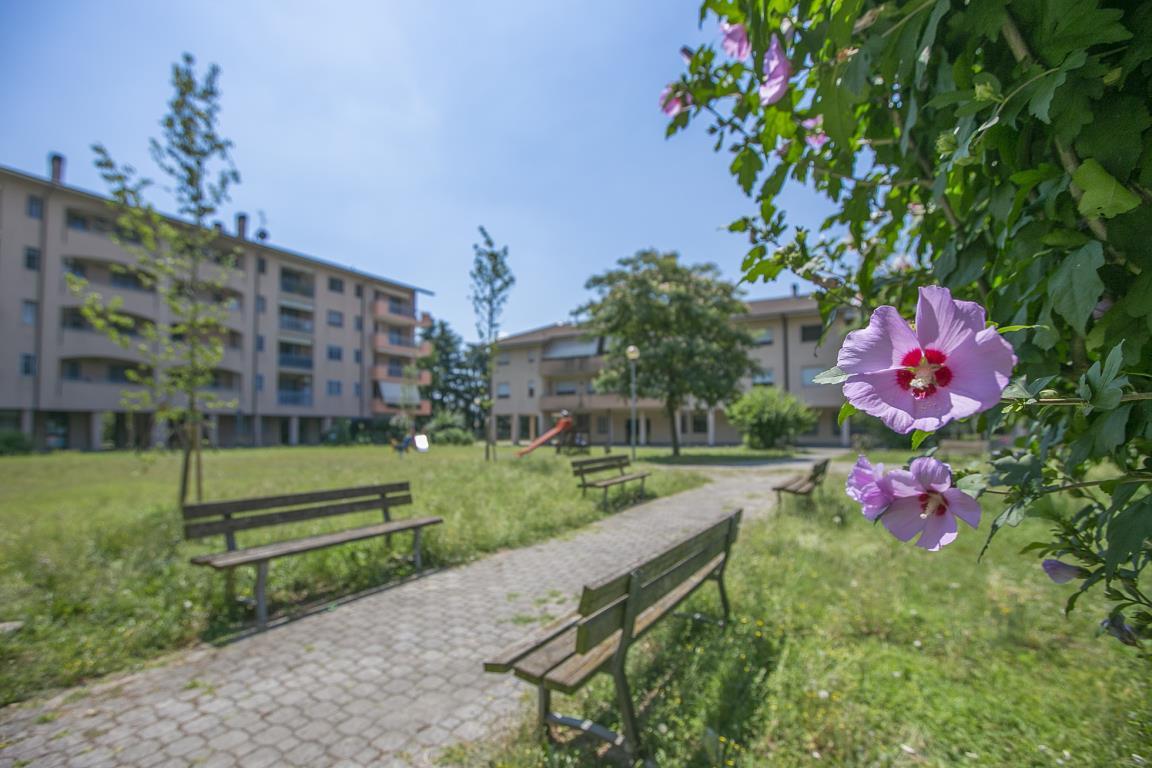  pantigliate vendita quart:  olivimmobiliare-srl